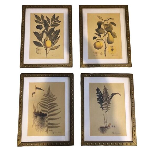Rare IKEA Botanical Prints set of 4 Brass Frame - Picture 1 of 9